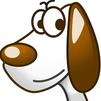 一起走过的日子